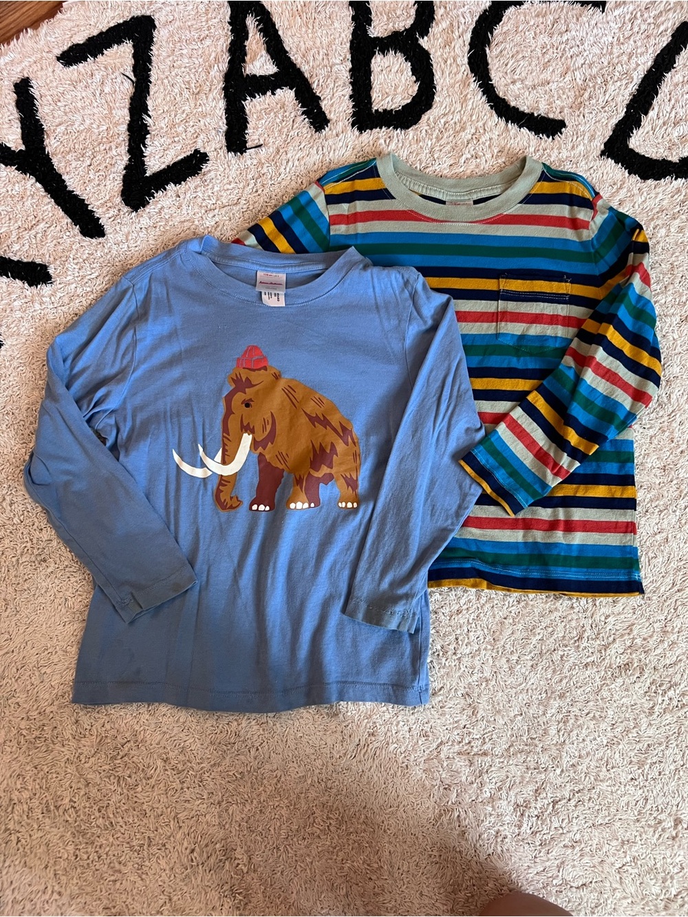 Hanna Andersson Blue Mammoth Graphic & Multicolor Stripe Long-Sleeve Tees